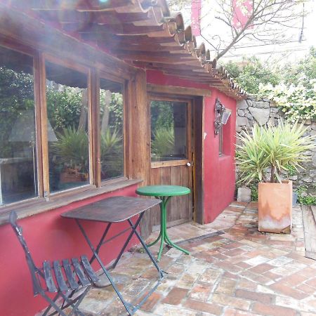 Maison Dans Jardin Villeseque-des-Corbieres Exteriér fotografie