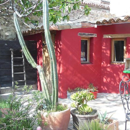 Maison Dans Jardin Villeseque-des-Corbieres Exteriér fotografie