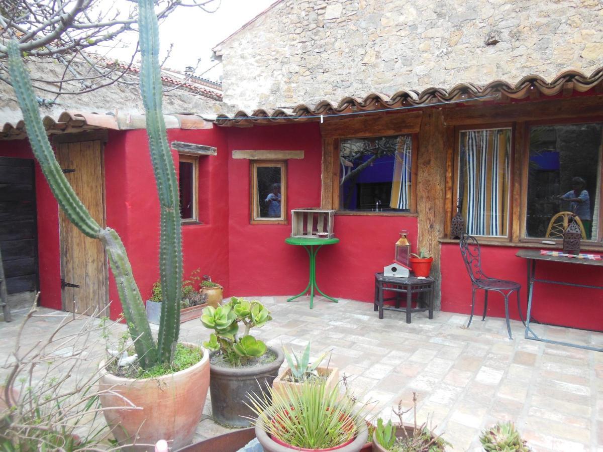 Maison Dans Jardin Villeseque-des-Corbieres Exteriér fotografie